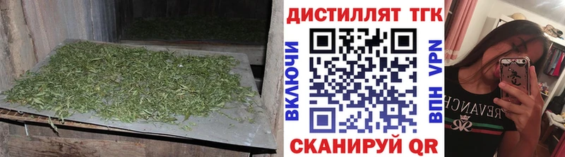 Купить  Котельники  ТГК концентрат 
